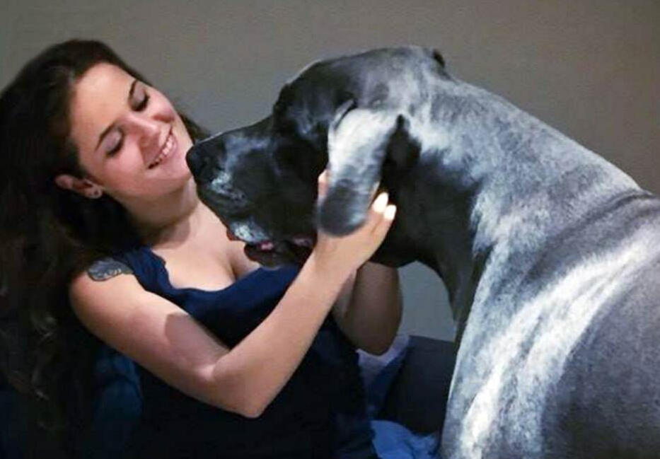 Pawsitive Coach Miriam smiling with a large dog
